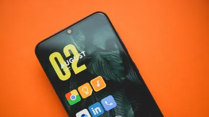 Kazino Lady Love Bingo Mobilioji programa